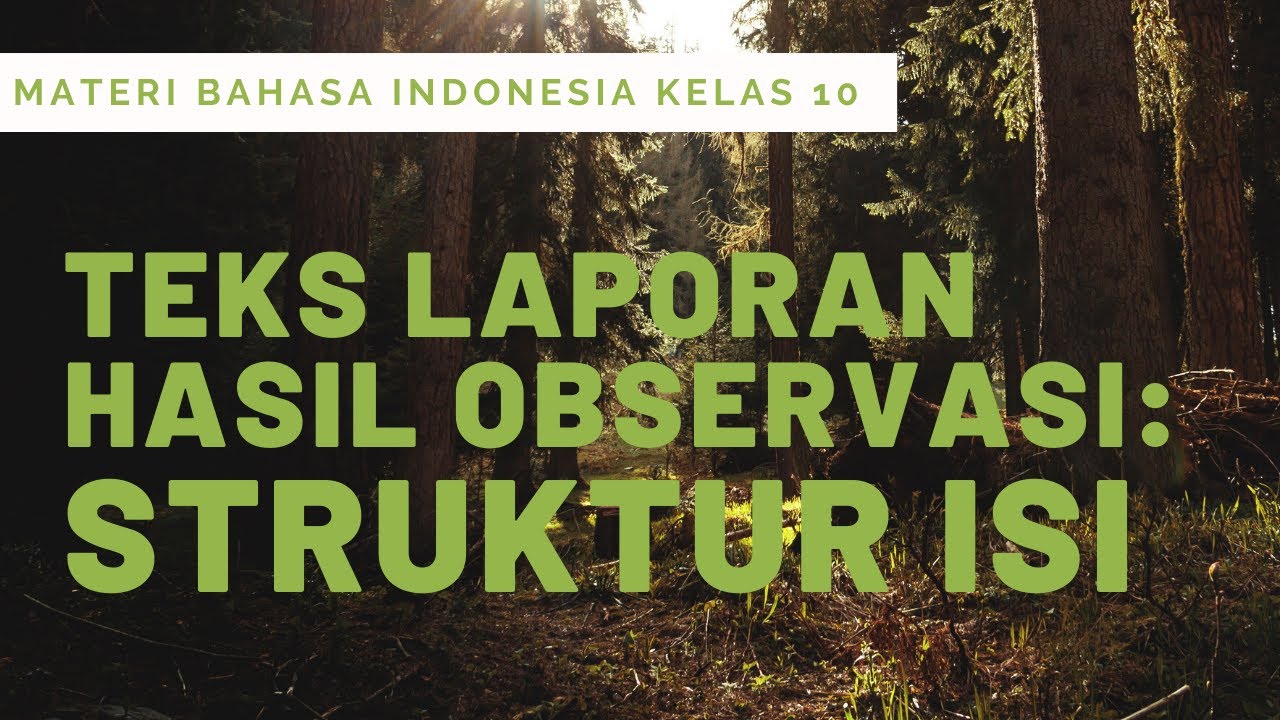 Teks Laporan Hasil Observasi SMA: Struktur Isi Teks LHO (Materi Daring