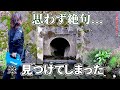 ロマン】川沿いの竹藪に潜入したら 100年前の骨董品がごろごろ出てきた...！