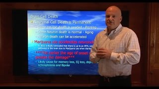 Harmful Effects of Cannabis on Adolescents, Dr. Jonathan Birnkrant