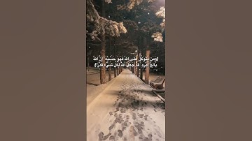 التوكل على الله قوّة واكتفاء وإغاثة،فالله لن يخذل من توكل عليه❤️القارئ:ماهر المعقيلي