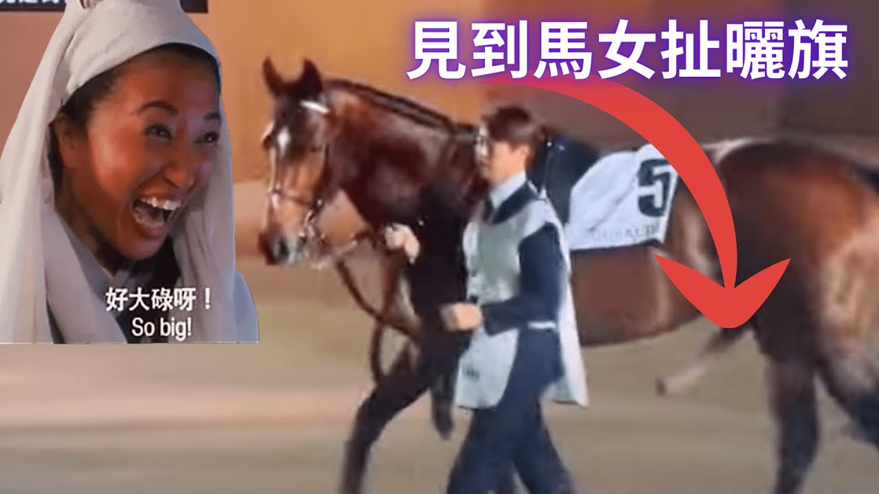 (鄭俊偉)怒掟馬簿, (方嘉柏)受襲  2023-4-9 沙田馬場 (第1場)凱旋門位置#富喜來#鈦易搵