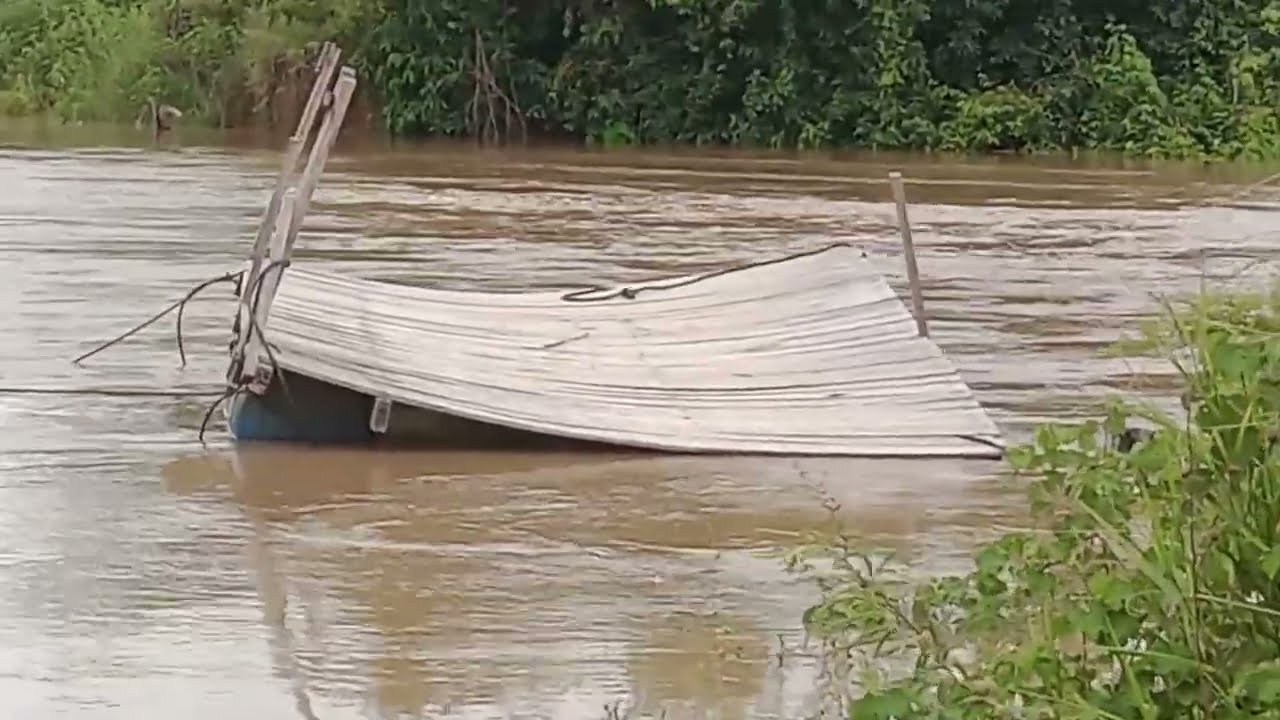 #caminhoparaumavidamelhor #natureza 