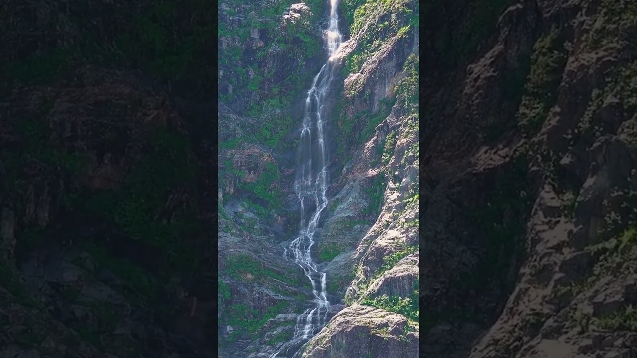 Exploring the wilds of Washington State - 🏞️ 🌲 🏔️ 🏞️ 🌿