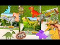 Dinosaur Jurassic World Unboxing ASMR #dinosaur #unboxing #asmr #satisfying