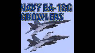 F/A-18G Growler Demo – US Navy Electronic Attack Jet Dominates Lakeland Airshow 2025