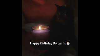 Burger Saved Stable Ronaldo...🥺