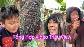 Tổng Hợp Những Videos Triệu View YouTube Shorts Kênh NHH TV P.1