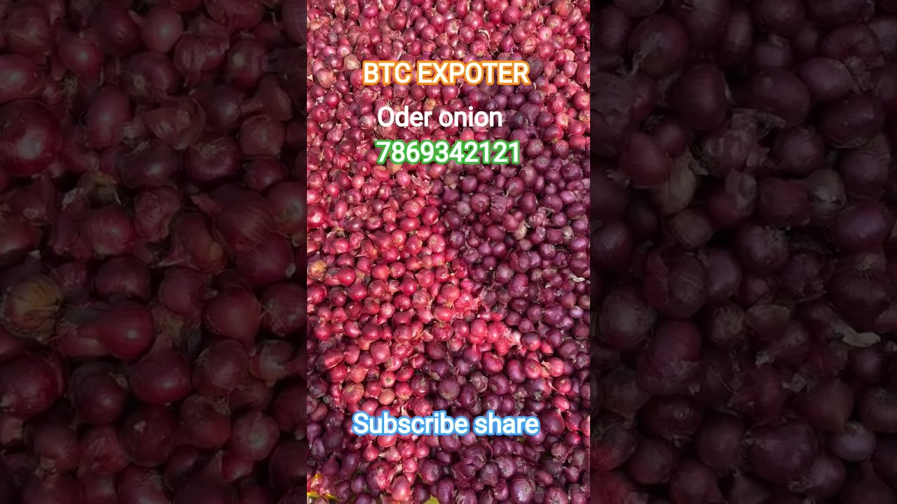 Super quality onion stock available Export and domestic quality 