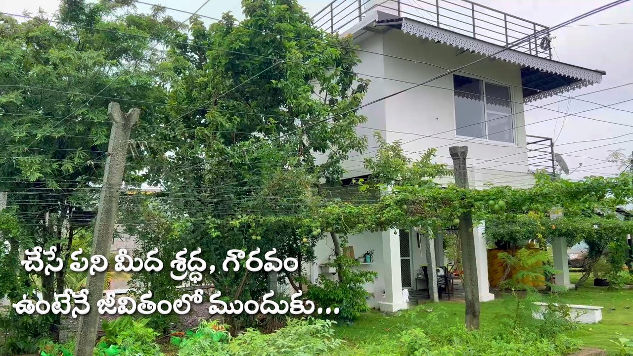 చేసే పని మీద శ్రద్ద గౌరవం ఉంటేనే జీవితంలో ముందుకు||భారీ వర్షాలతో నిండిన చేలు|BLikeBindu