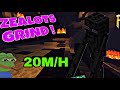 Zealots Grinding Can Make You Rich...! ( Fakepixel Skyblock) #fakepixel