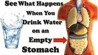 What Happens When You Drink water On An Empty Stomach Health Benefit