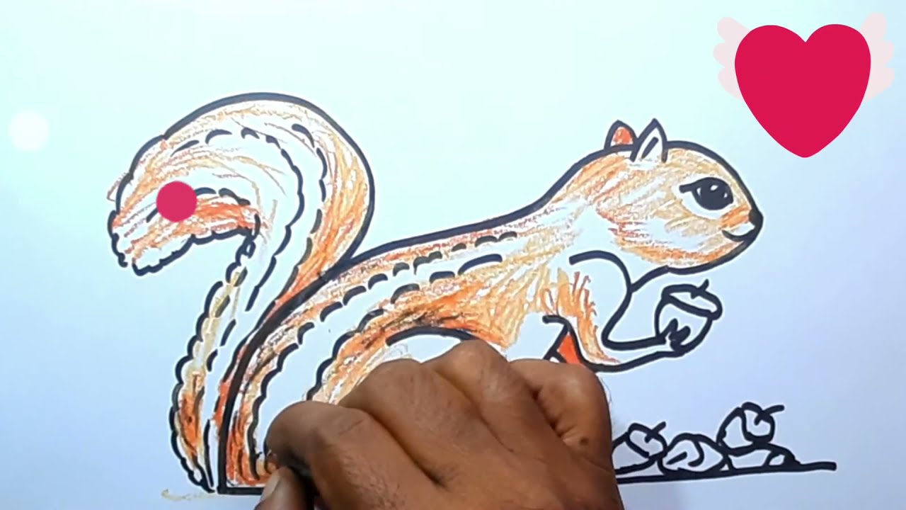 turn 2 to SQUIRREL.How to draw squirrel easy. YouTube