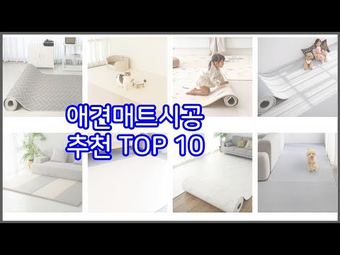 애견매트시공 추천 가격부터 품질, 판매량까지 고려한 꼼꼼한 선택 10가지