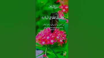 قرآن كريم تلاوة هادئة ارح سمعك #قرآن #أحسن_تلاوت_القرأن_الكريم #اكسر #quran #اسلاميات #المصحف #duet