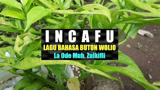 Download Lagu Incafu | Lagu Bahasa Buton Wolio | Karaoke MP3