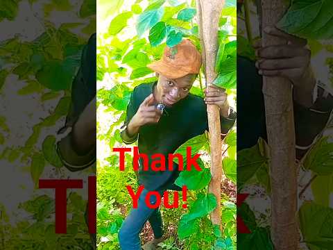 #supportmychannel #subscribe #subscribemychannel #creatorfirst #love