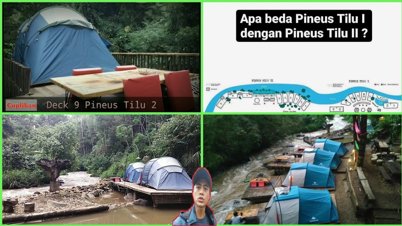 Perbedaan Pineus Tilu 1 dan 2_Pilih yang mana ya ???