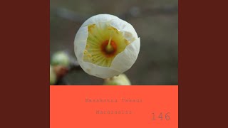 Marginalia #146 - Masakatsu Takagi