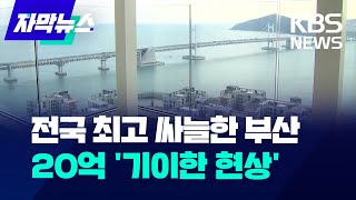 [자막뉴스] 전국 최고 싸늘한 부산..20억 '기이한 현상' / KBS 2024.02.23.