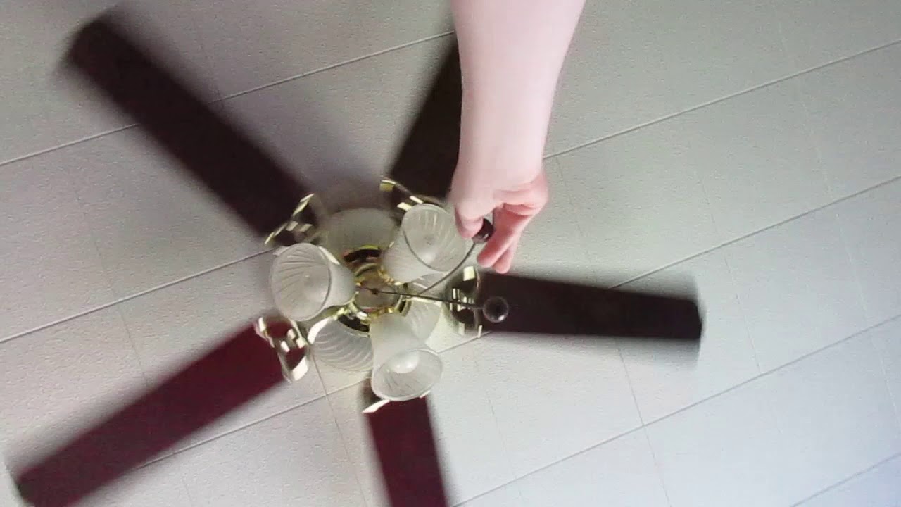 Unknown hugger & Harbor Breeze Calera 2 ceiling fans in the offices