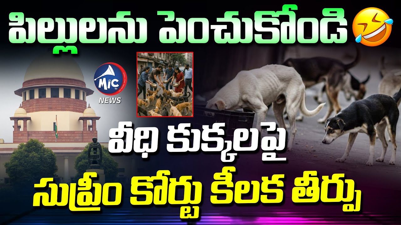 పిల్లులను పెంచుకోండి 😂😂 |Supreme Court Shocking Judgement On Street Dogs Issue | Mic Tv News
