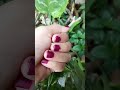 Snake # flower 🌷🌷 🐍