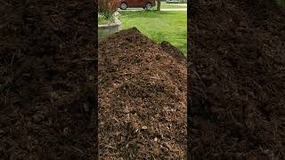 The Best Mulch For The Garden
