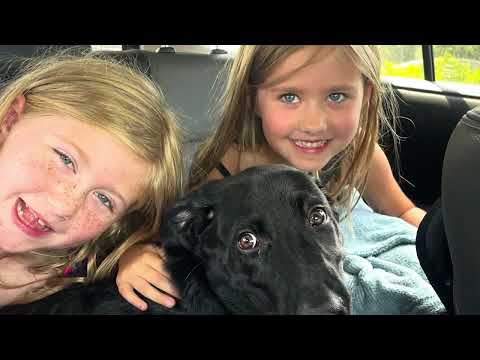 It Happened Last Week August 10 16 2025