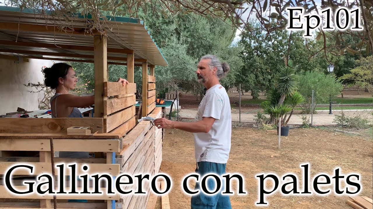 Construimos GALLINERO revestido con Palets.