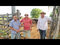 Lindo curral de gado na fazenda Jatobá de Zé freire no coração do sertão nordestino do Brasil