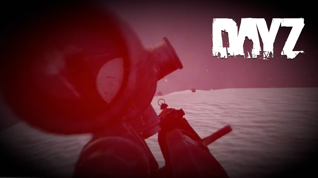 Histoires de DayZ #77 ILS SONT TROP, MAX ET SUZY M'AIDE !