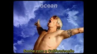 Red Hot Chili Peppers - Californication (Tradução)