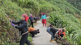 Download Lagu BÀ CON CÙNG NHAU VỆ SINH CON ĐƯỜNG HẤU CHUA ĐÓN TẾT | MỶ VLOG |  MP3