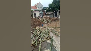 Máy xúc đóng cọc tre #excavator #automobile