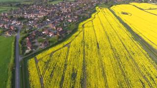 Steeple Claydon - Rapeseed Fields - DJI Phantom 3 Professional - 4k