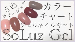 SoLuz Gel スターターキットのカラージェル5色 カラーチャート作ってみた！【ソルースジェル】