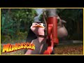 DreamWorks Madagascar en Español Latino | Ayúdame!!! | Madagascar | Dibujos Animados