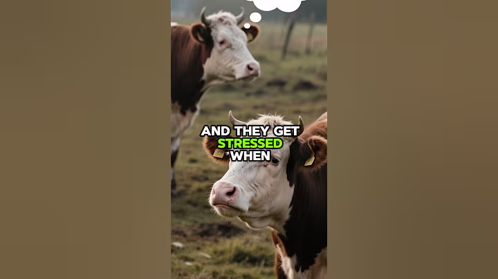 3 Shocking Animal Facts You Never Knew 🦐🐄🐊