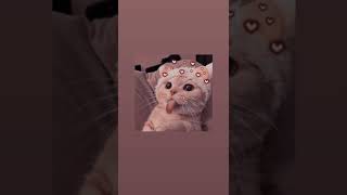 :  -   (speed up/nightcore)