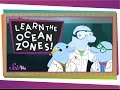 Journey Through Ocean Zones and Marine Life