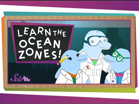 Let&rsquo;s Learn the Ocean Zones!