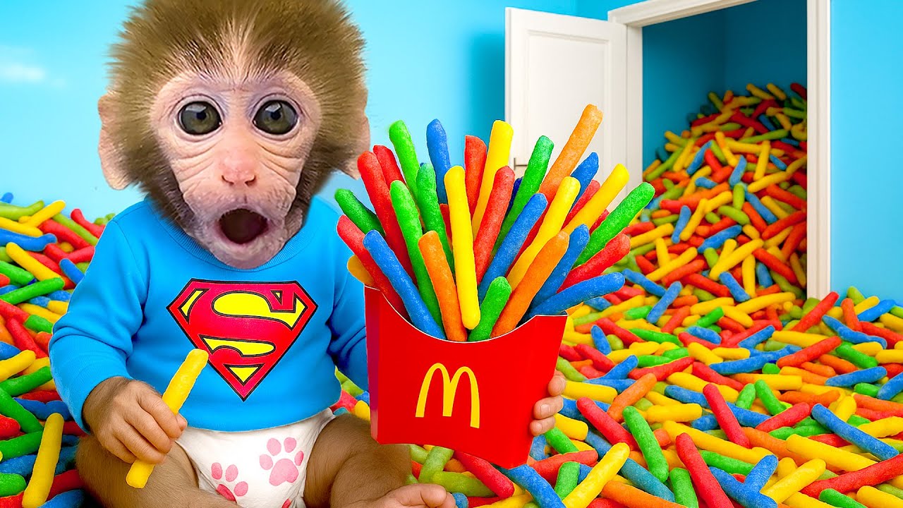 Affe Bon Bon sucht sein vom Dinosaurier gestohlenes Rucksack - HT Tierwelt