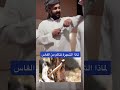 لماذا الشجرة تتألم من الفاس
