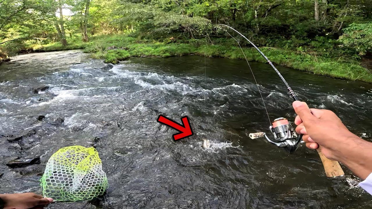 最高クオリティのヤマメは最高に気が抜けてる時に釣れるのなあぜなあぜ【渓流ルアー】