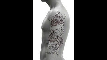 Drawing a snake and skull #procreate #digitalart #tattooart #drawing #create #tattoos #tattoo