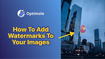 How to Add Watermarks to Your Images in Optimole [2022]