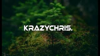 AuRa - Panic Room (KrazyChris Remix)