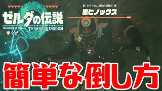 【ゼルダティアキン】黒ヒノックスの簡単な倒し方【ゼルダの伝説ティアーズオブザキングダム】The Legend of Zelda Tears of the Kingdom