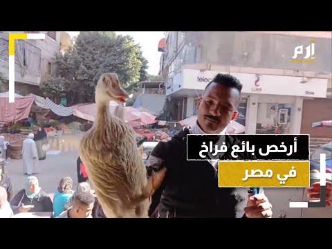 أبو أنس أرخص بائع فراخ في مصر يكشف أسراره