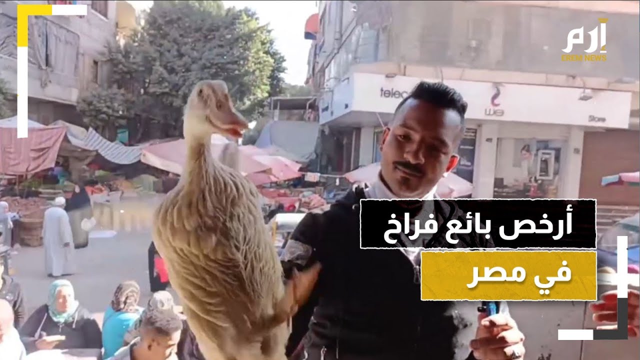 أبو أنس.. أرخص بائع فراخ في مصر يكشف أسراره